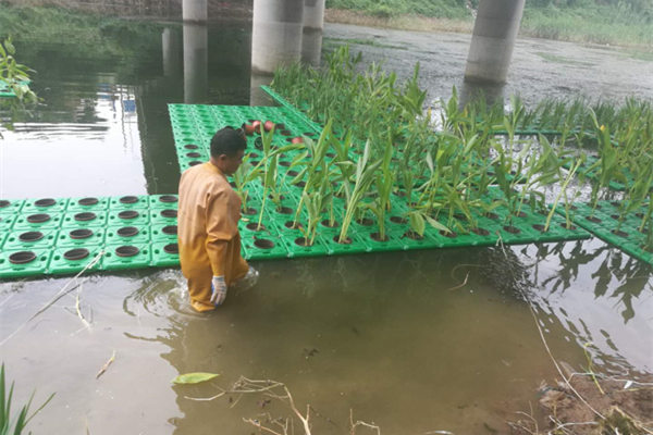 生態浮床施工