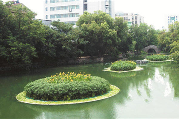 水生植物浮島