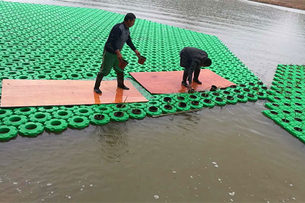 生態浮島施工