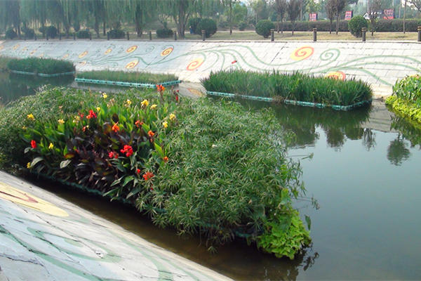 生態浮島水生植物