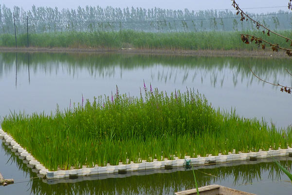 生態(tài)浮島