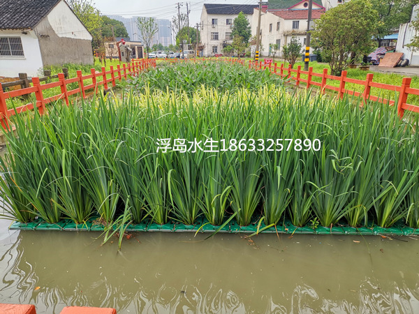 生態(tài)浮島