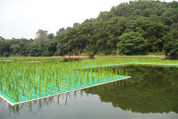 生態浮島