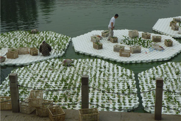 生態(tài)浮島