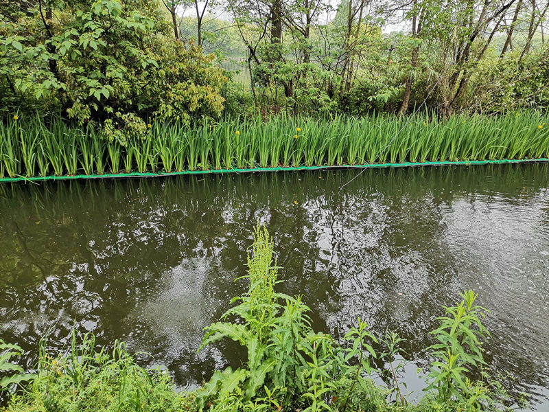 人工生態(tài)浮島