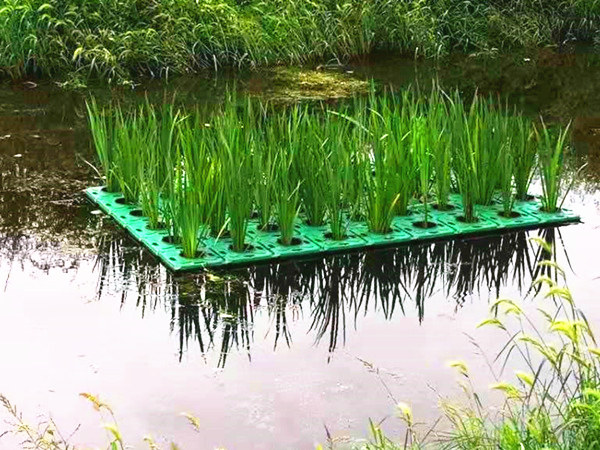 河道人工浮島效果圖片